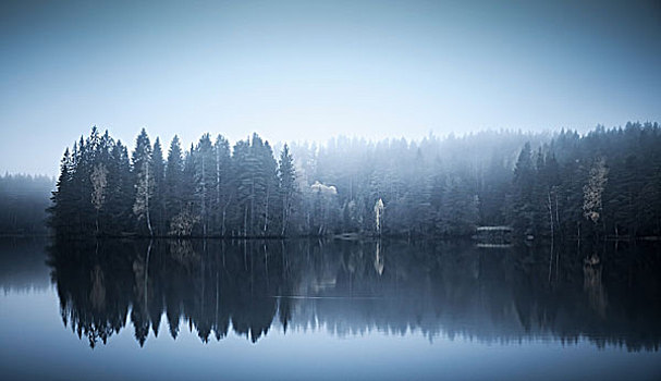 蓝色调,秋景,海岸,雾,安静,湖