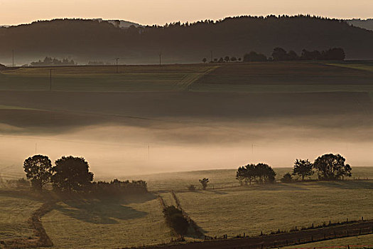 早晨,雾,山,山脉,靠近,莱茵兰普法尔茨州,德国,欧洲
