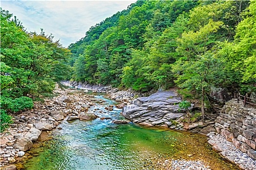 河,山林,韩国