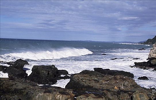 海浪,岩石,东海岸
