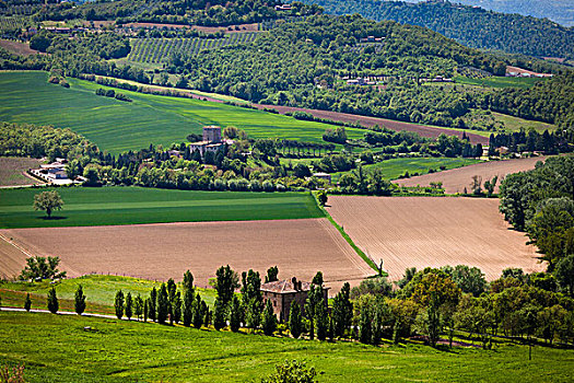 俯视,农田,翁布里亚,意大利