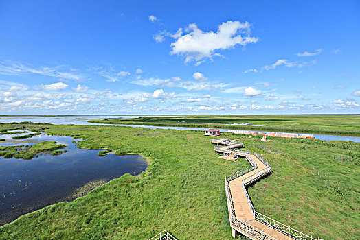 雁窝岛湿地