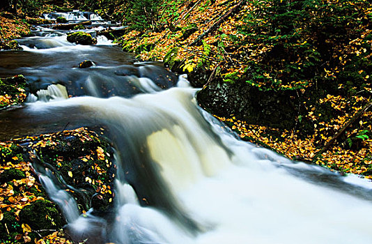 溪流,瀑布,芬地湾国家公园,新布兰斯维克,加拿大