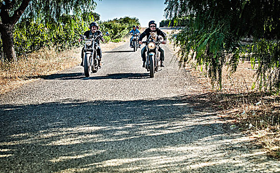 四个,朋友,一只,狗,骑,摩托车,乡村道路,萨丁尼亚,意大利