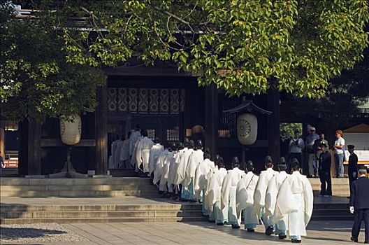 明治,神祠,队列,庙宇,牧师