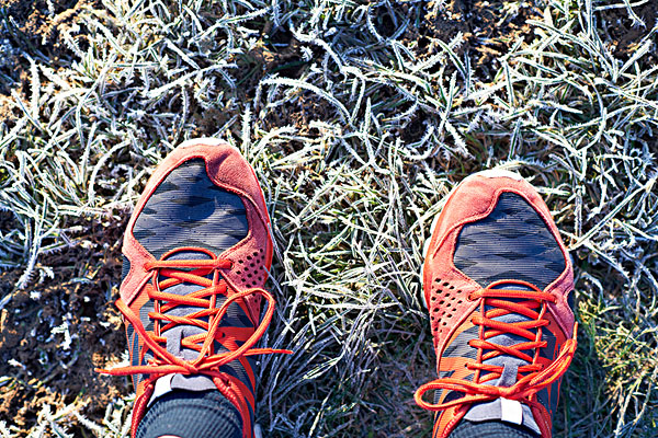 俯视,跑步,脚,穿,跑鞋,霜,草