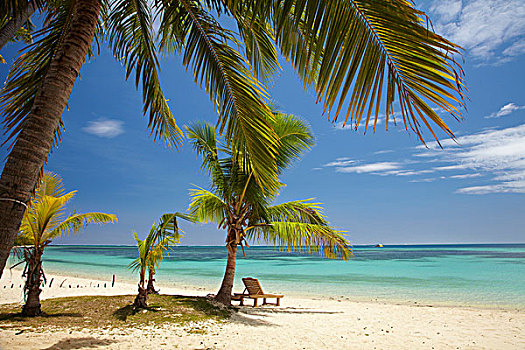 海滩,棕榈树,躺椅,种植园,岛屿,玛玛努卡群岛,斐济,南太平洋