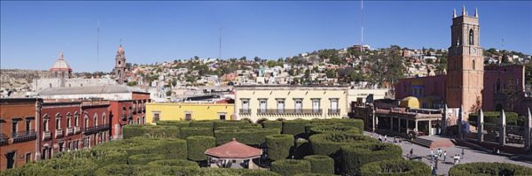 俯视,灌木,圣米格尔,墨西哥