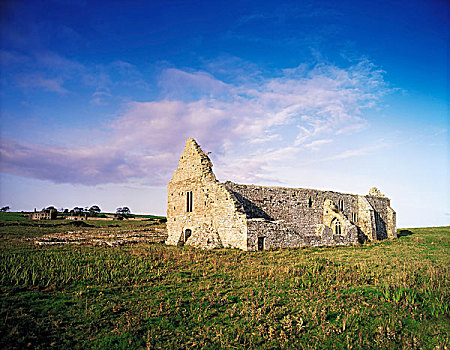 爱尔兰,13世纪,多米尼加