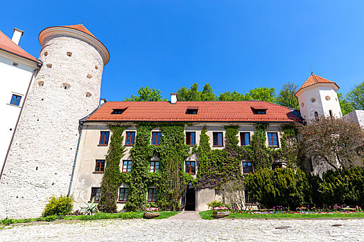 14世纪,防护,城堡,附属建筑,靠近,克拉科夫,波兰