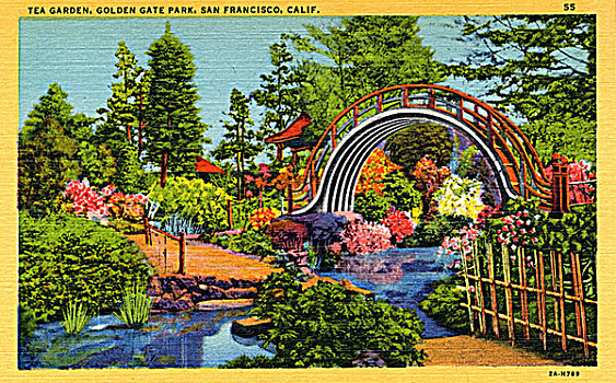 茶,花园,金门公园,旧金山,加利福尼亚,美国