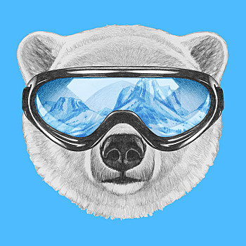 头像,北极熊,滑雪