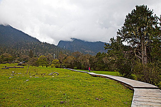 林芝,南伊沟风景区,珞巴族,西藏