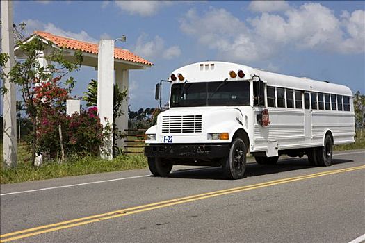 校车,多米尼加共和国,加勒比海