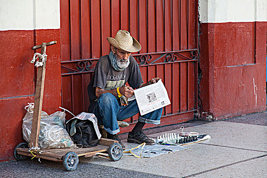加勒比,古巴,哈瓦那,老人,帽子,读,坐,人行道