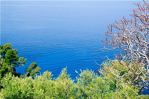 地中海,俯视,马略卡岛