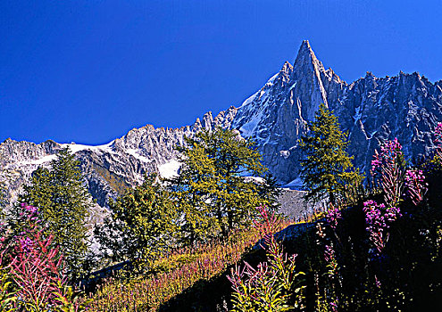 法国,阿尔卑斯山,上萨瓦,勃朗峰,山丘