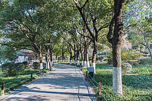 南京绣球公园
