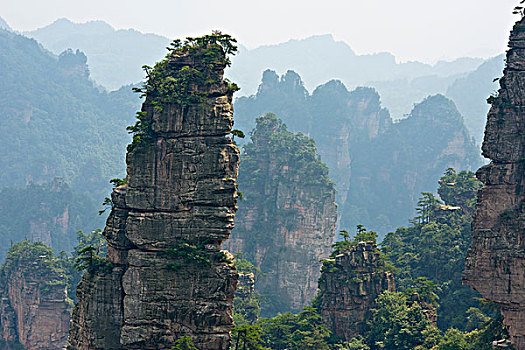 砂岩,柱子,山,张家界,武陵源,景色,历史,兴趣,区域,湖南,省,中国,亚洲