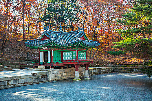 韩国,首尔,昌德宫,秘密花园