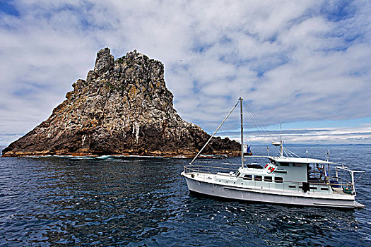 船,顶峰,北岛,新西兰