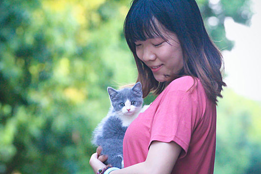 女人怀里的猫