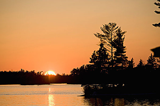 日落,湖,木,安大略省,加拿大