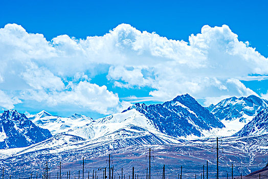 新疆,雪山,山脉,蓝天,白云