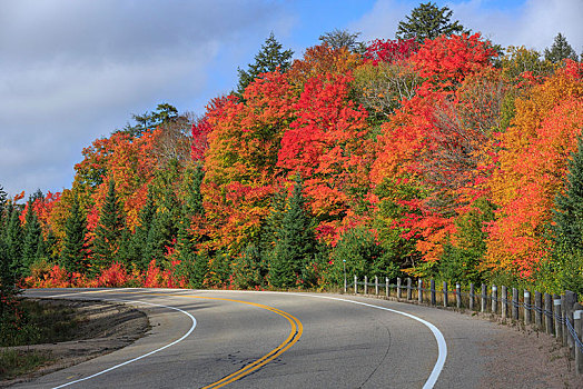道路,秋日树林,阿尔冈金省立公园,深秋,安大略省,加拿大,北美