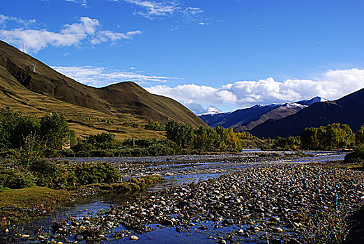 新都桥美景