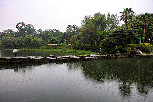 广州,白云仙馆,湿地公园,河道,水塘,植物,治理,树木,休闲,公园