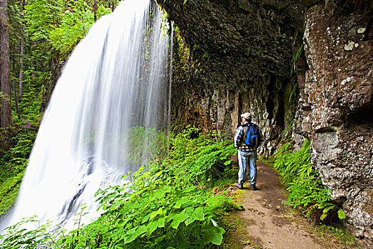 远足者,北方,中间,瀑布,银色瀑布州立公园,俄勒冈,美国