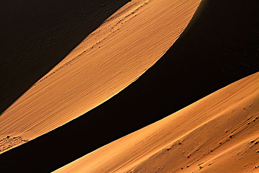 沙丘,靠近,索苏维来地区,纳米比诺克陆夫国家公园,纳米比亚,非洲