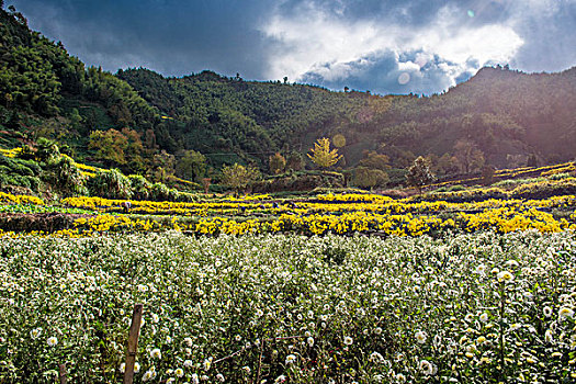 安徽黄山市黟县风光