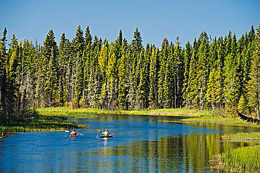 漂流,河,国家公园,萨斯喀彻温,加拿大