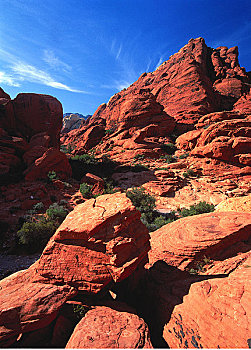 沉积岩,红岩峡谷,靠近,拉斯维加斯,内华达,美国