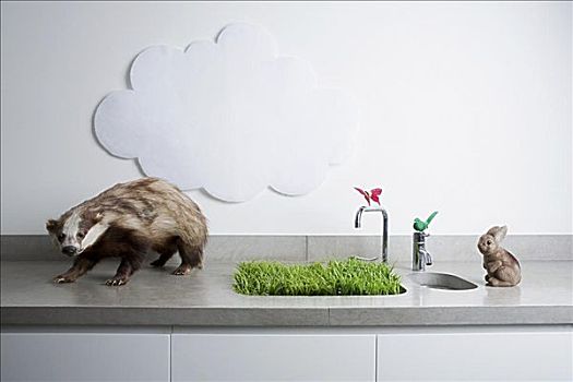 假的,动物,云,草,室外,水槽