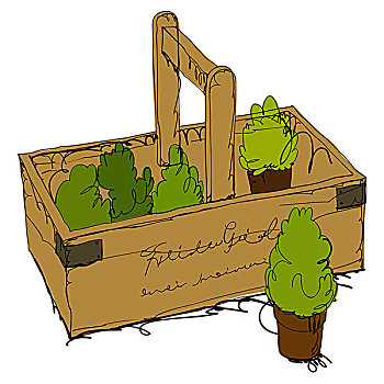 盆栽,木质,容器