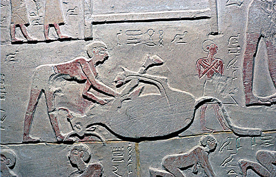 埃及人,浮雕,剪切,畜体,艺术家,未知