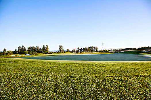 绿色的高尔夫球场