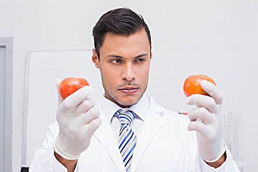 烦恼,科学家,拿着,两个,西红柿