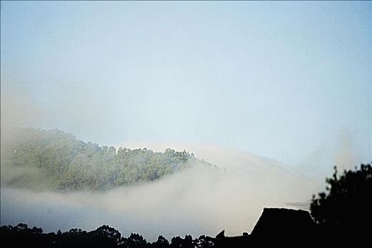 俯拍,雾,山