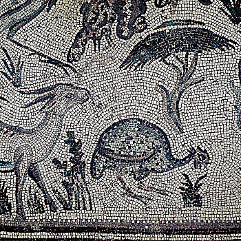 特写,罗马,镶嵌图案,鸟,瞪羚,黎巴嫩,二世纪