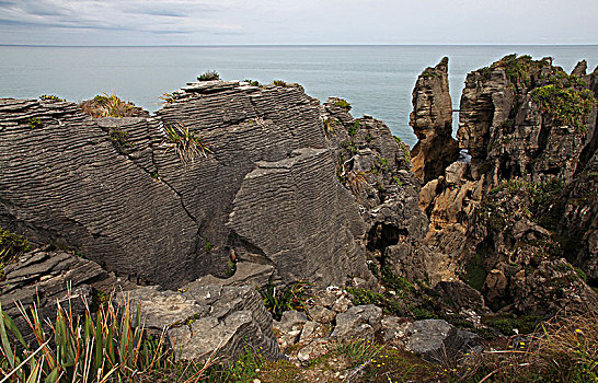 新西兰薄饼岩pancakerocks,新西兰千层饼岩石公园