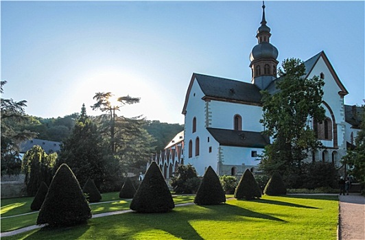 西妥教团修道院,莱茵高地区