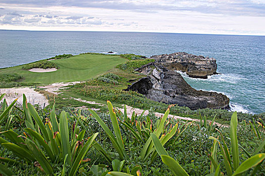 多米尼加共和国,加勒比,蓬塔卡纳,海边,绿色,高尔夫球杆