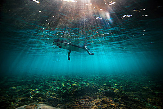 水下视角,冲浪,等待,浅,礁石,巴厘岛,印度尼西亚
