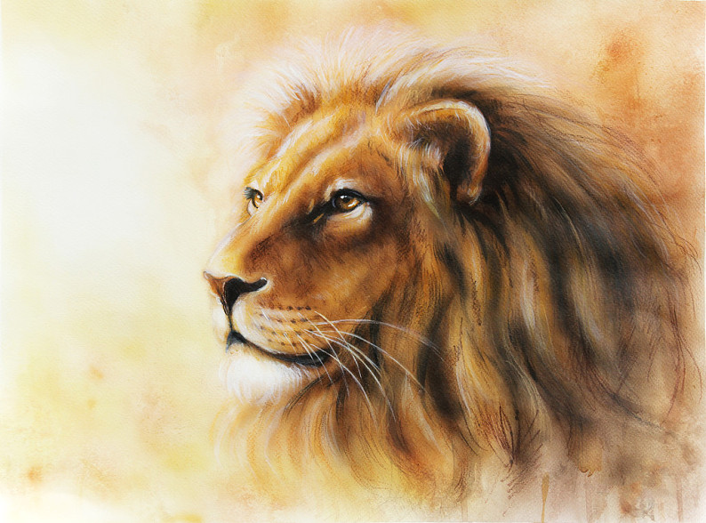 狮子侧面绘画图片