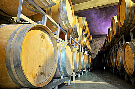 一堆,橡树,桶,制作,大酒桶,葡萄酒,葡萄酒厂,蒙多扎省,阿根廷,南美