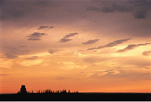 日出,上方,农田,靠近,萨斯喀彻温,加拿大